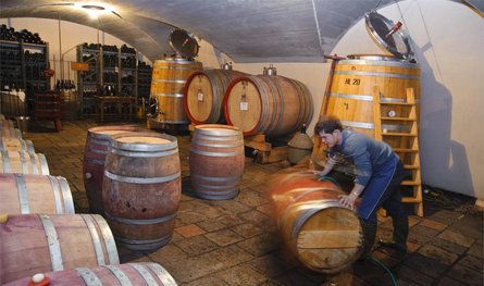 Winery Klosterhof Kaltern an der Weinstraße/Caldaro sulla Strada del Vino 2 suedtirol.info