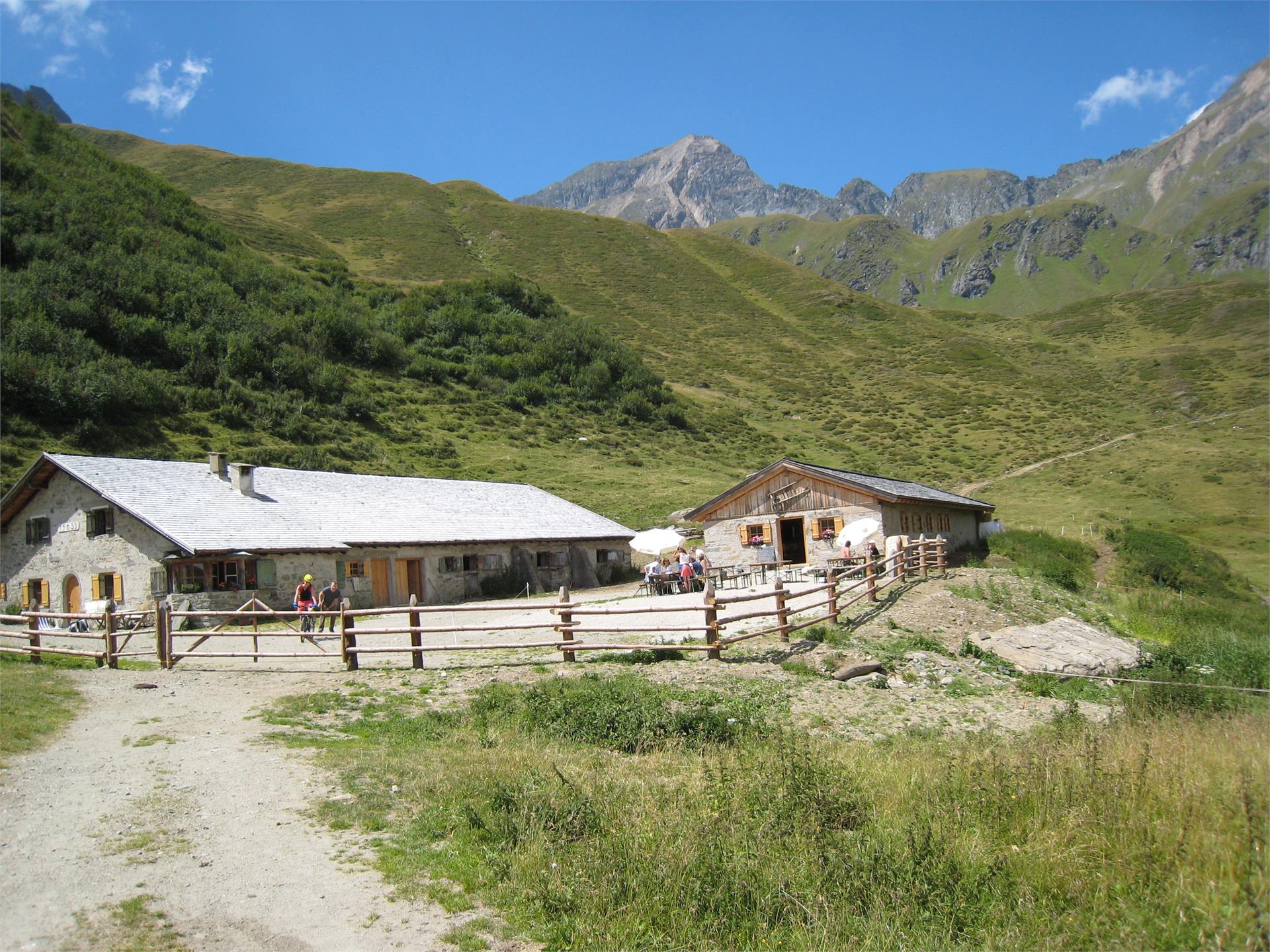 Weitenbergalm Vandoies 2 suedtirol.info