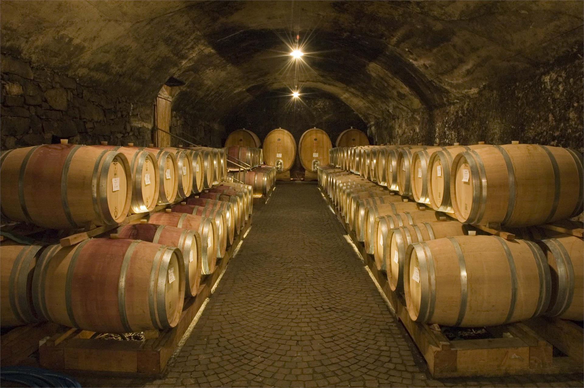 Cantina Kettmeir Caldaro sulla Strada del Vino 2 suedtirol.info