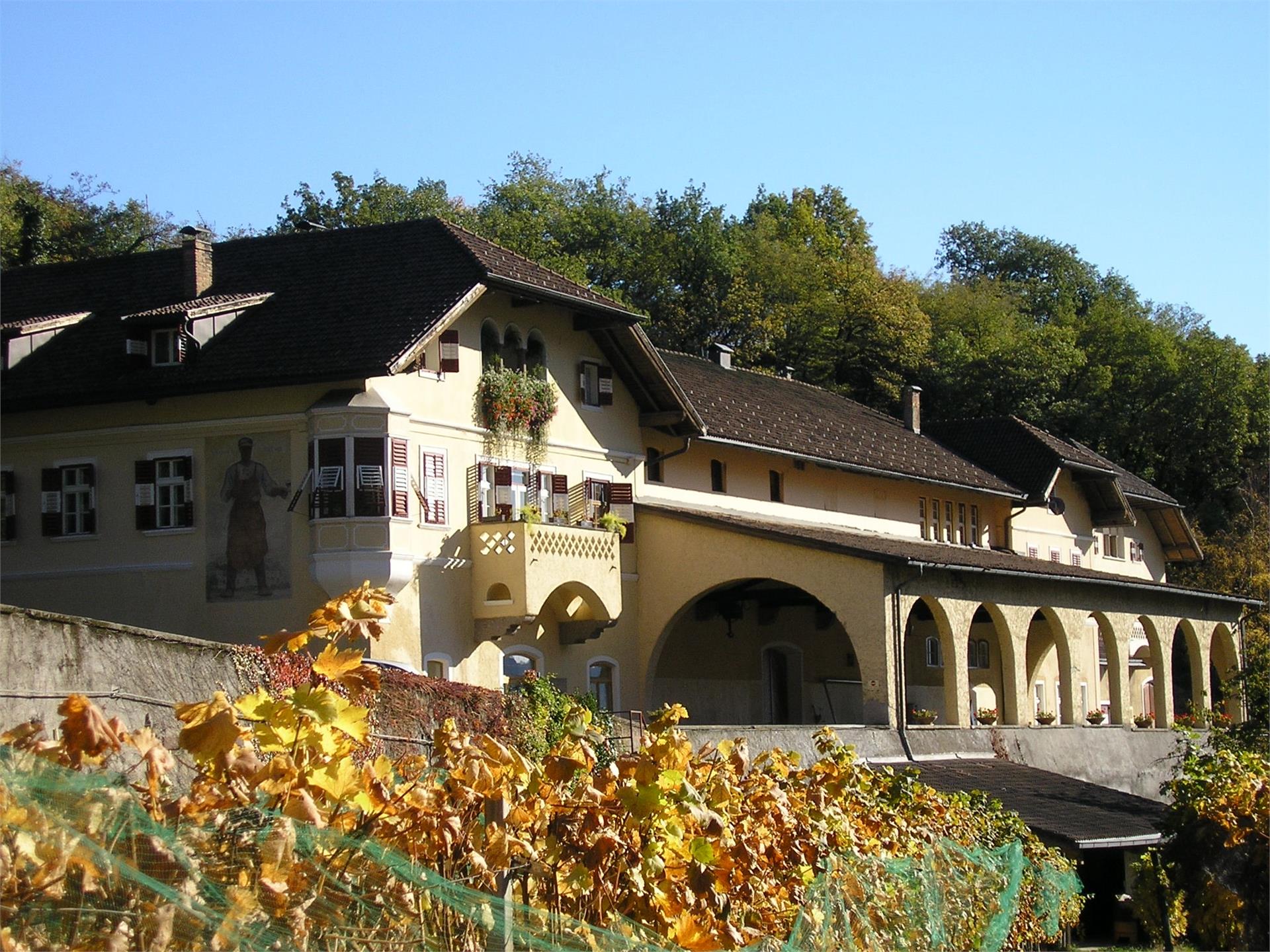 Cantina Kettmeir Caldaro sulla Strada del Vino 1 suedtirol.info