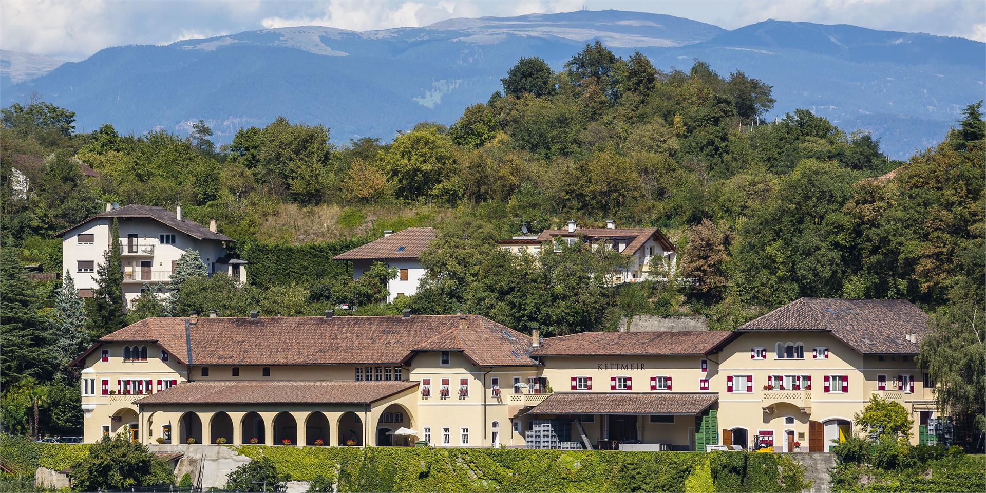 Cantina Kettmeir Caldaro sulla Strada del Vino 6 suedtirol.info