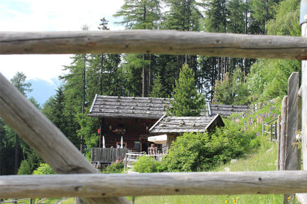 Zetnalm Naturns 3 suedtirol.info