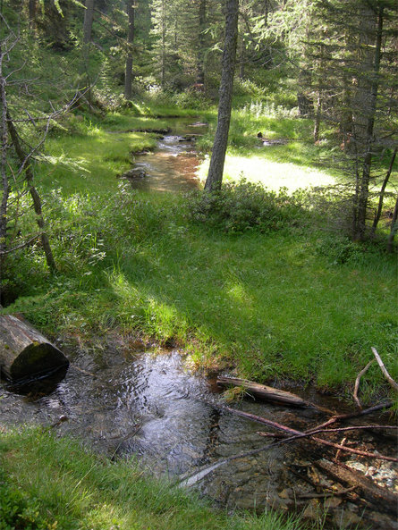 Malga Zirmtal Alm Castelbello-Ciardes 5 suedtirol.info