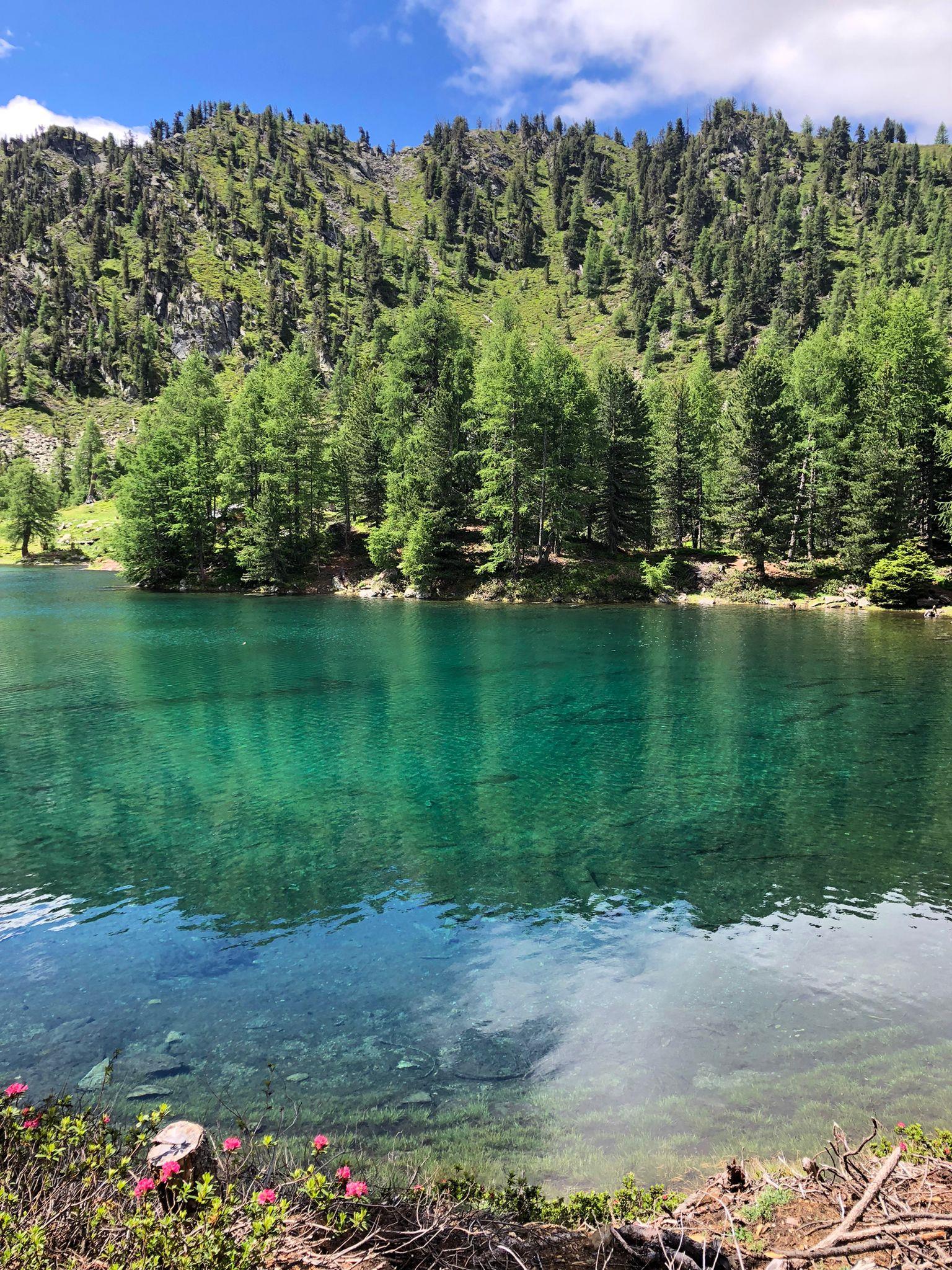 Malga Zirmtal Alm Kastelbell-Tschars/Castelbello-Ciardes 3 suedtirol.info