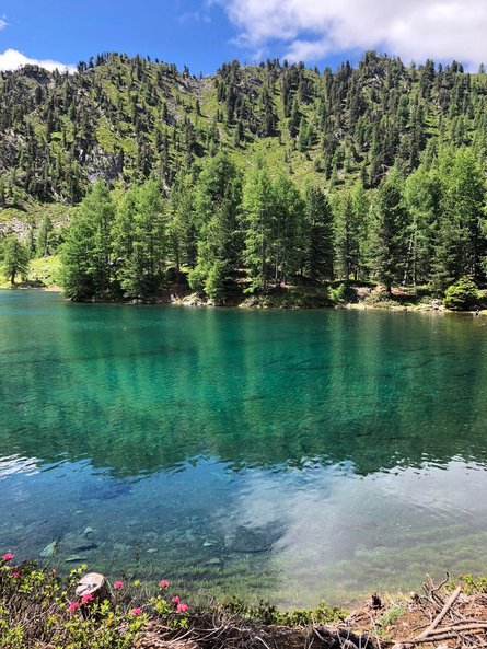 Zirmtal Alm Kastelbell-Tschars 3 suedtirol.info