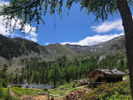 Malga Zirmtal Alm Castelbello-Ciardes 1 suedtirol.info