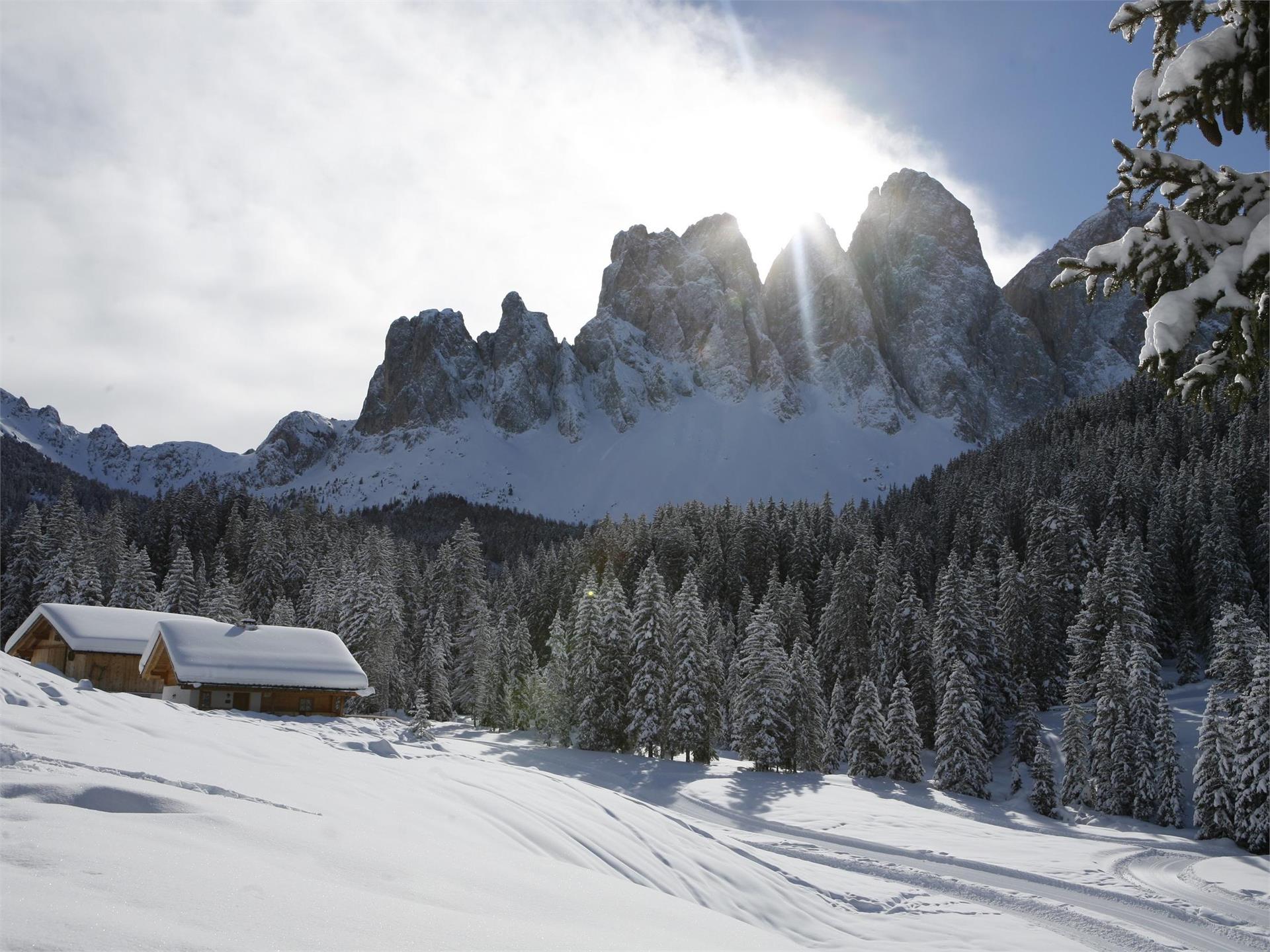 Zanser Schwaige Villnöss/Funes 2 suedtirol.info