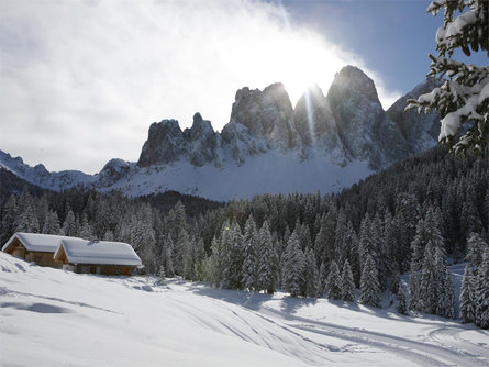 Zanser Schwaige Funes 2 suedtirol.info