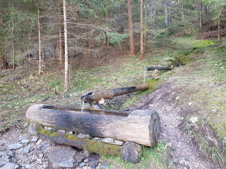 Rispetto in montagna - fontana sentiero attorno a Sesto, Sesto Sesto 1 suedtirol.info