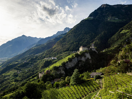 Punto panoramico Doss Tirolo 1 suedtirol.info