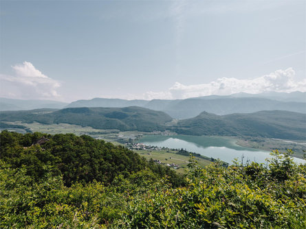 Panoramic view Altenburg/Castelvecchio Kaltern an der Weinstraße/Caldaro sulla Strada del Vino 2 suedtirol.info