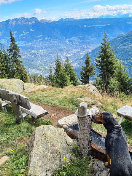 Respect the mountains - Fountain "Rabensteinerschupf" - drinking water refill point Partschins/Parcines 1 suedtirol.info