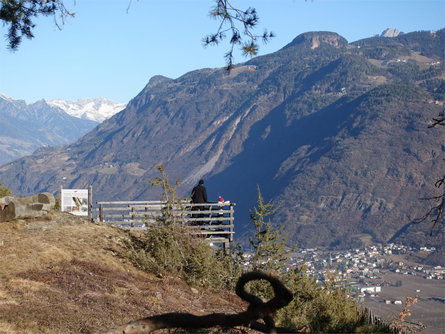 Piattaforma panoramica al percorso avventura - natura "Vorbichl" Tesimo 5 suedtirol.info