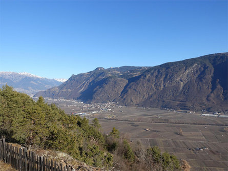 Piattaforma panoramica al percorso avventura - natura "Vorbichl" Tesimo 2 suedtirol.info