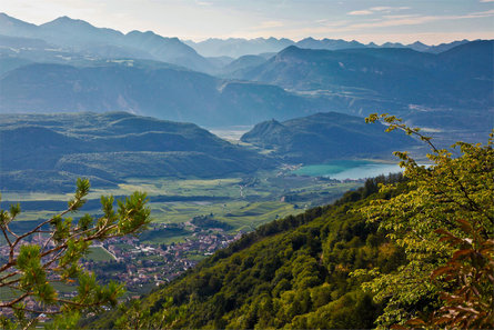 Vista panoramica Monte Penegal Caldaro sulla Strada del Vino 1 suedtirol.info