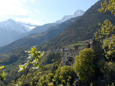 Brunnenburg Castle Tirol/Tirolo 3 suedtirol.info