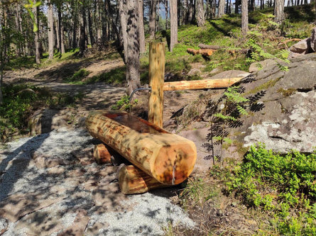 Fontana Foresta Laranza Siusi Castelrotto 1 suedtirol.info