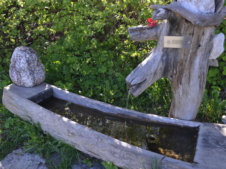 Fontana "Mortlstoan" Siusi Castelrotto 2 suedtirol.info