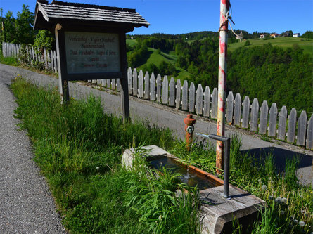 Fontana Maso Verleierhof Siusi Castelrotto 1 suedtirol.info