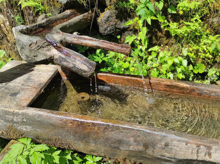 Fontana Sentiero Malghetta Sciliar Castelrotto 2 suedtirol.info