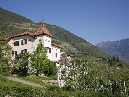 Distillery Lahnerhof Tscherms/Cermes 1 suedtirol.info