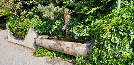 Brunnen Geiselsbergerstraße, Mitterolang Olang 1 suedtirol.info