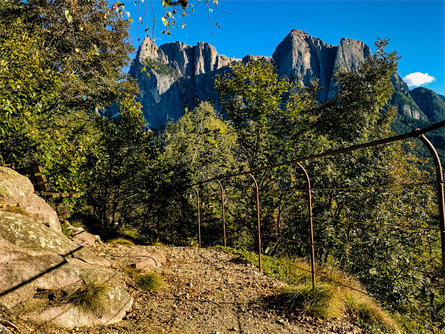 The King’s Vantage Point in the Laranz forest Kastelruth/Castelrotto 1 suedtirol.info