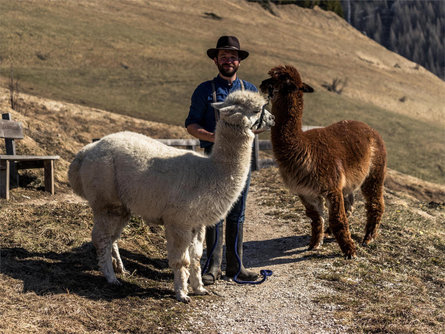 Dolomites Farm - Bio-ethical farming Corvara 1 suedtirol.info