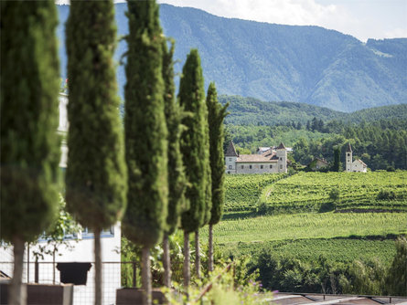 Genussmanufaktur Walcher Kaltern an der Weinstraße/Caldaro sulla Strada del Vino 2 suedtirol.info