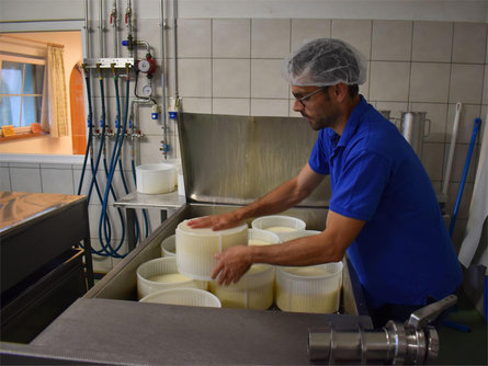 Cheese dairy farm Learner Deutschnofen/Nova Ponente 2 suedtirol.info