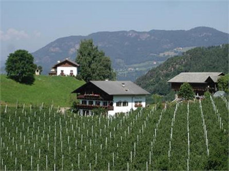 Hanig Hof Völs am Schlern/Fiè allo Sciliar 2 suedtirol.info