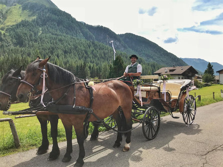 Gite in carrozza Obergruberhof Valle Aurina 2 suedtirol.info