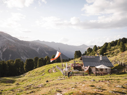 Malga dei Vitelli/Kälberalm Stilfs/Stelvio 1 suedtirol.info