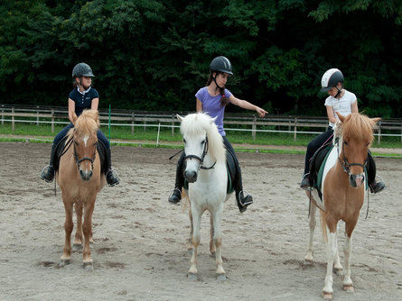 Riding stable Alps Coliseum Montan/Montagna 1 suedtirol.info