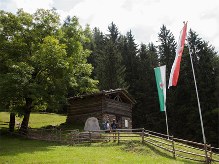 Malga Pfandler Alm presso S. Martino San Martino in Passiria 1 suedtirol.info