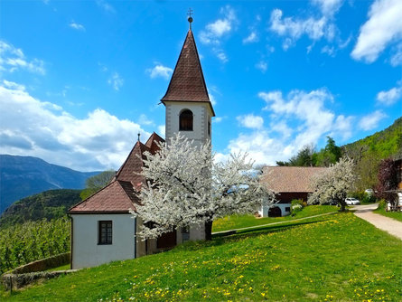 Chiesa parrocchiale del Santo Martino di Cologna San Genesio Atesino 1 suedtirol.info