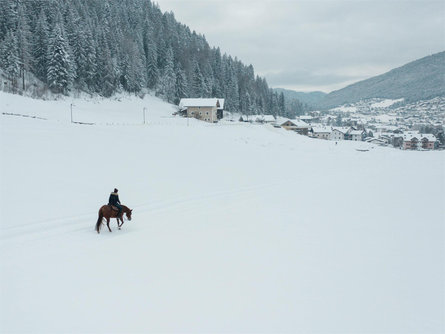 Horse riding Miner Urtijëi/Ortisei 3 suedtirol.info