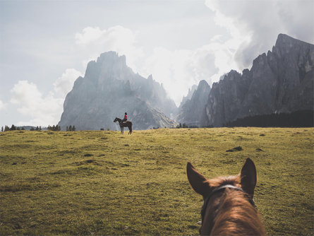 Horse riding Miner Urtijëi/Ortisei 4 suedtirol.info