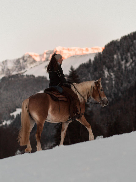 Horse riding Miner Urtijëi/Ortisei 10 suedtirol.info