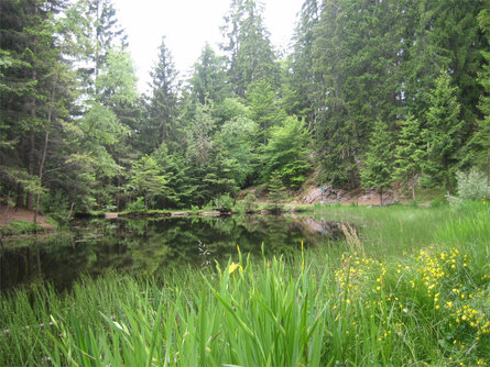 Sulfner Weiher Pond Hafling/Avelengo 1 suedtirol.info