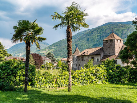 Castel Mareccio Bolzano 1 suedtirol.info