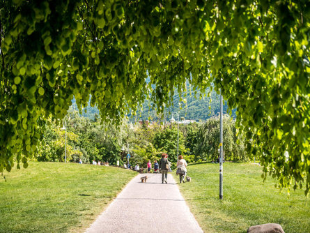 Talvera Promenade Bolzano/Bozen 1 suedtirol.info