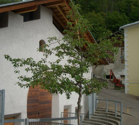 Vintschger Museum Schluderns 7 suedtirol.info