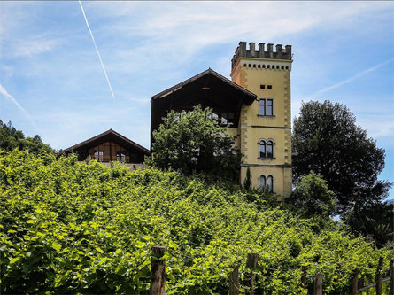 Tenuta Ansitz Dornach Salorno/Salurn 1 suedtirol.info