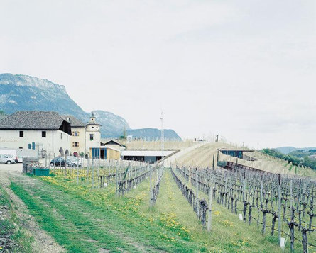 Cantina Manincor Caldaro sulla Strada del Vino 5 suedtirol.info