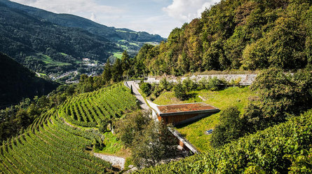 Weingut Garlider Feldthurns 1 suedtirol.info