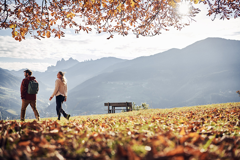 Ein Mann und eine Frau wandern an einem sonnigen Herbsttag über eine Wiese mit vielen Blättern und mit Blick ins Eisacktal.