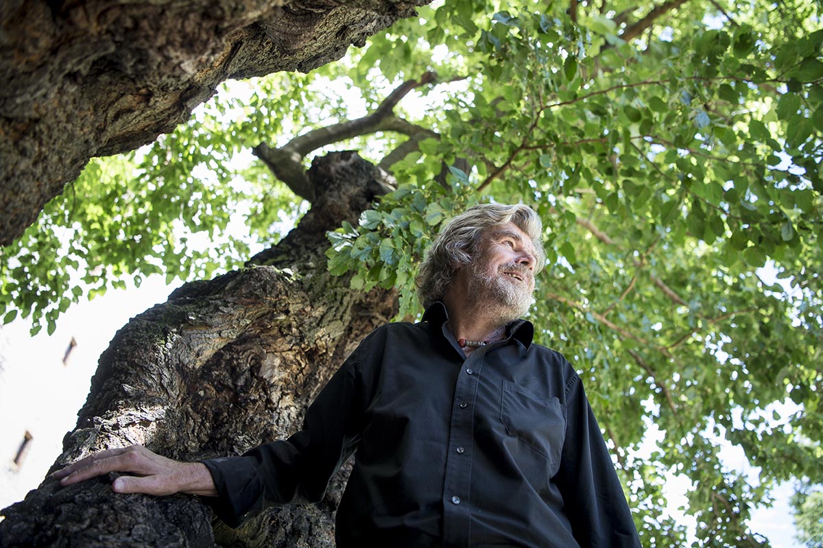 Der Bergsteiger Reinhold Messner, von unten aufgenommen, vor einem alten Laubbaum.